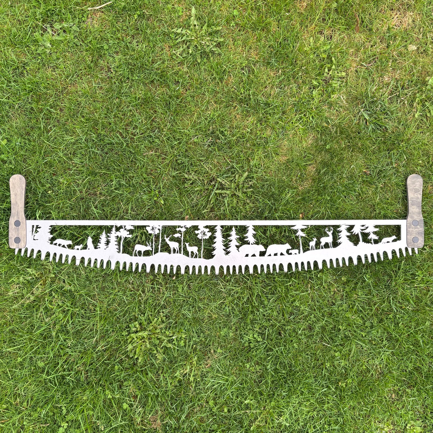 4 Foot Saw