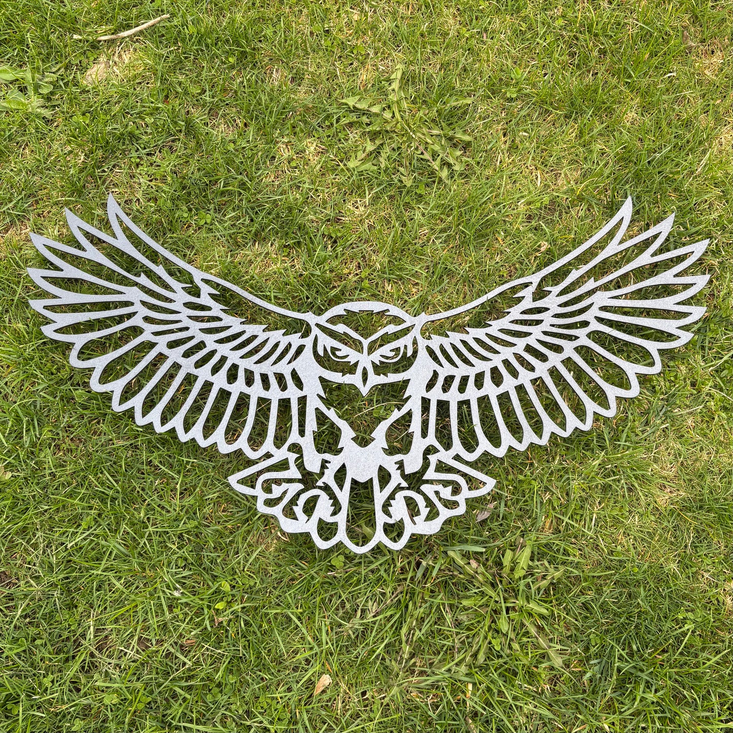 Owl Wall Art