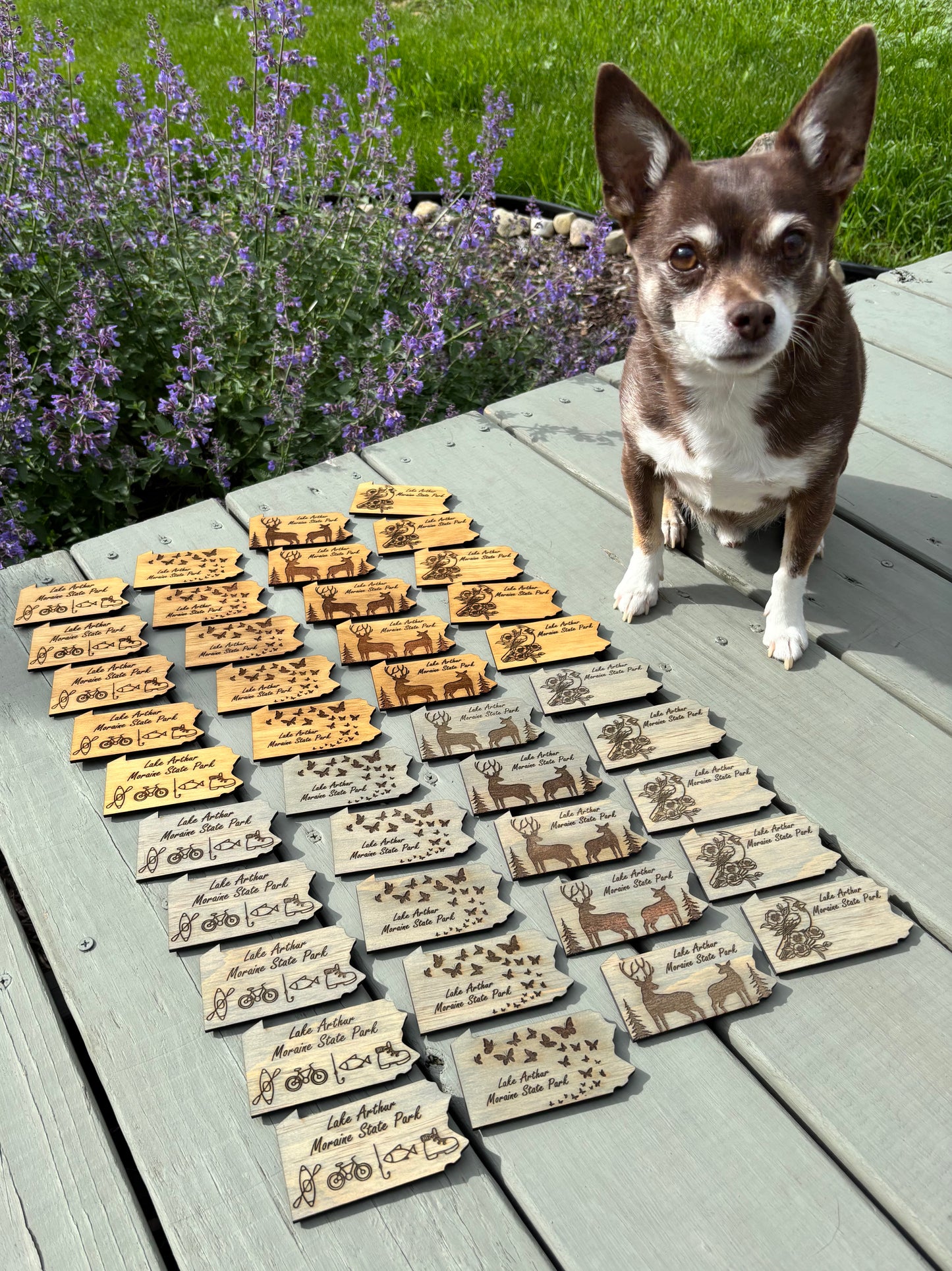 Personalized Magnets