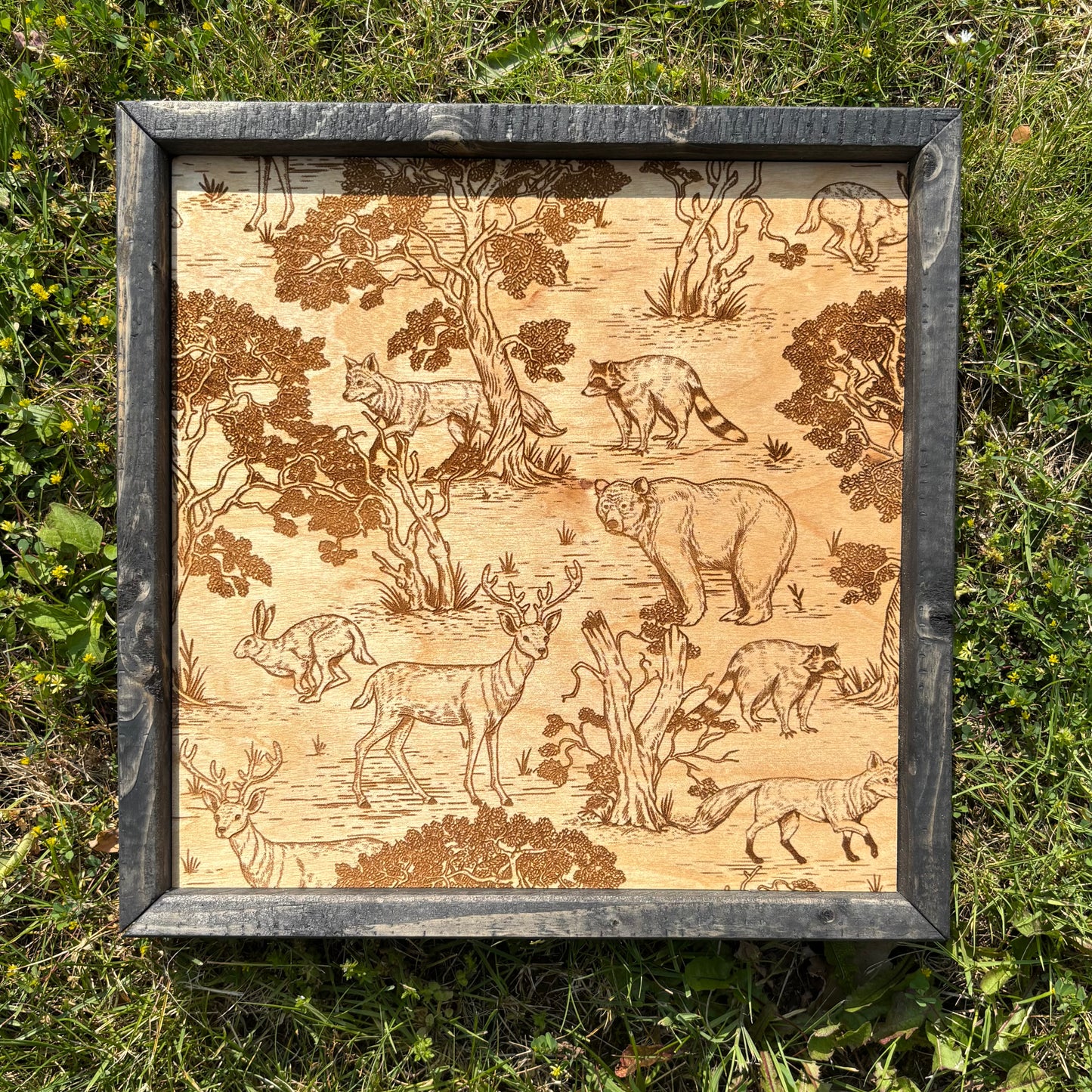 Framed Forest Print