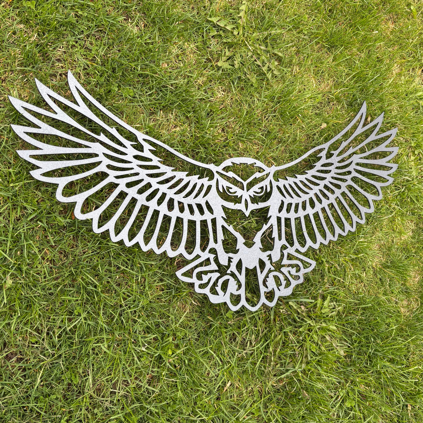 Owl Wall Art