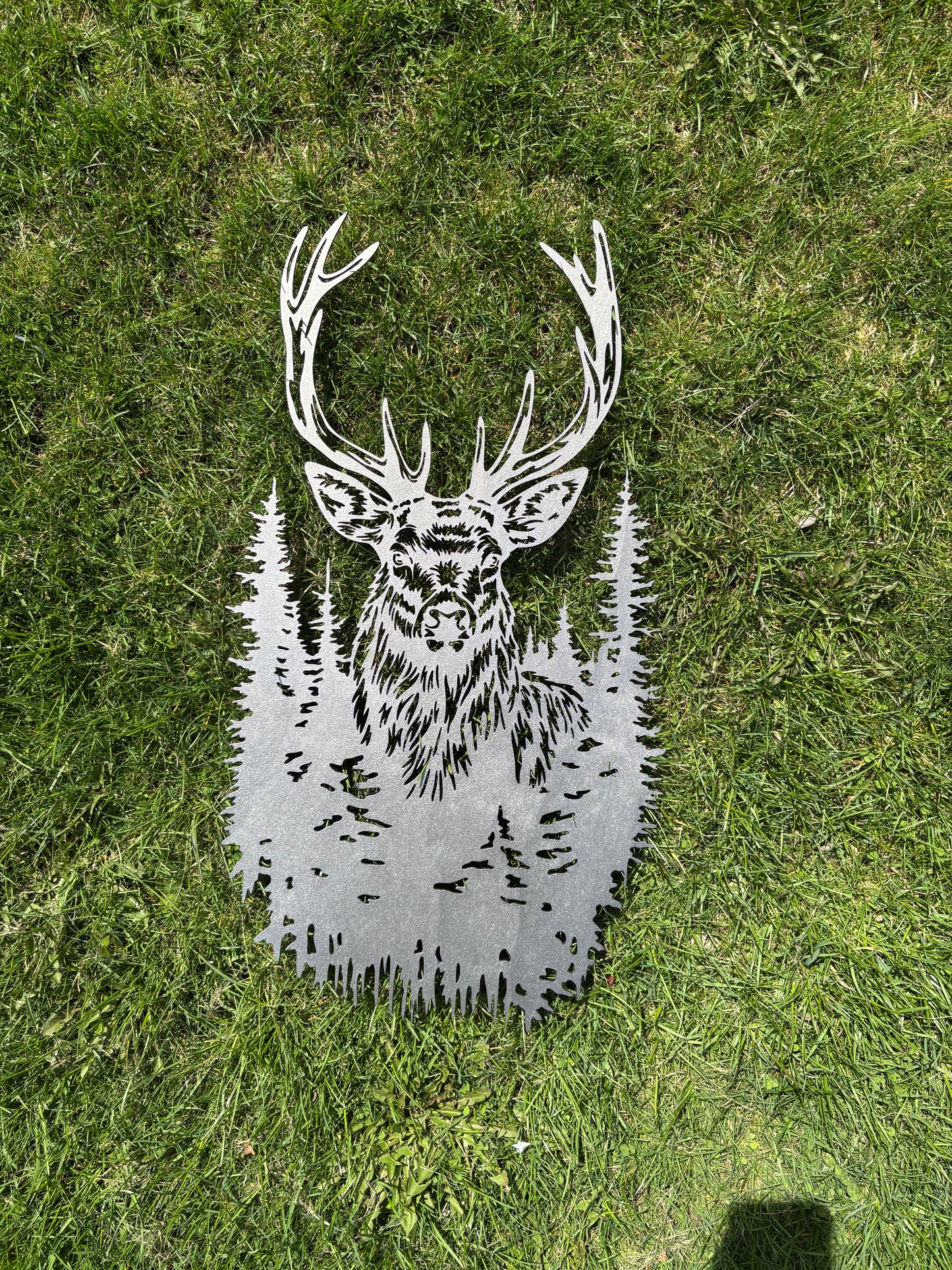 Buck Wall Art