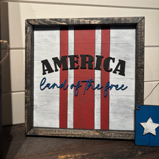 Framed Land Of The Free